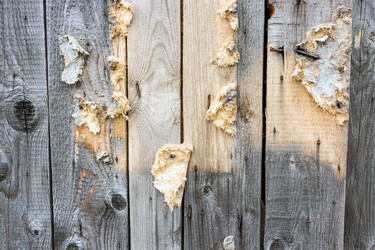 Similar image 12987057