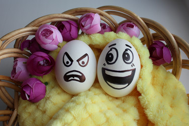 Similar image 12981811