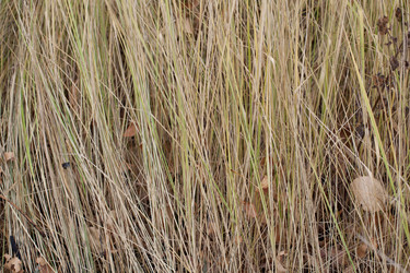 Similar image 12981586