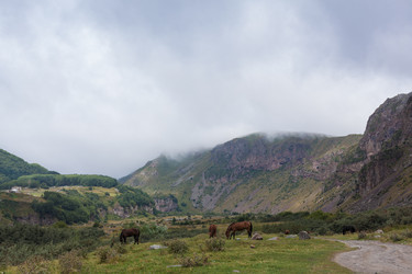 Similar image 12981609