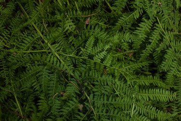 Similar image 12981613