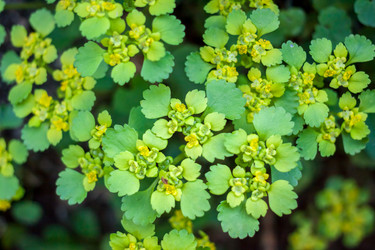 Similar image 12996477