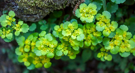 Similar image 12996478