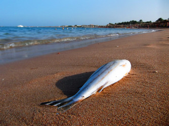 Similar image 12985765