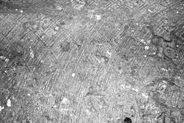 Similar image 12985769