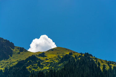 Similar image 12988830