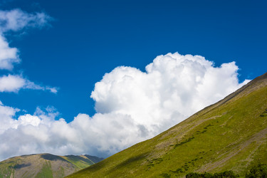 Similar image 12988831