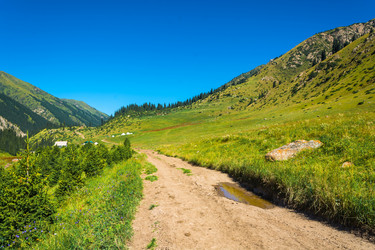 Similar image 12988839