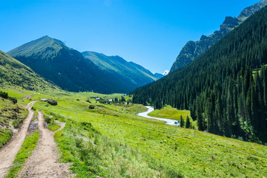 Similar image 12988840