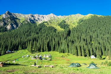 Similar image 12988842