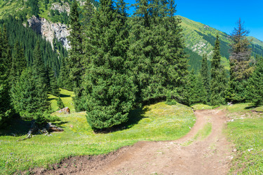 Similar image 12988843