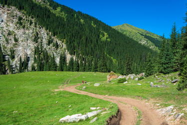 Similar image 12988844