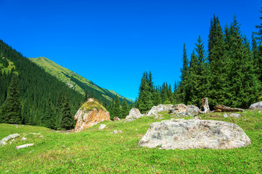 Similar image 12988845