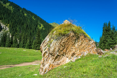 Similar image 12988847