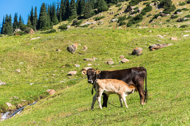 Similar image 12988848