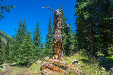 Similar image 12988850