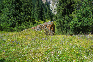 Similar image 12988851