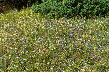 Similar image 12988866