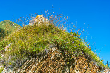 Similar image 12988867