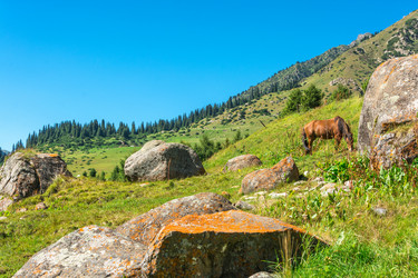 Similar image 12988943