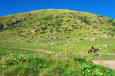 Similar image 12988899