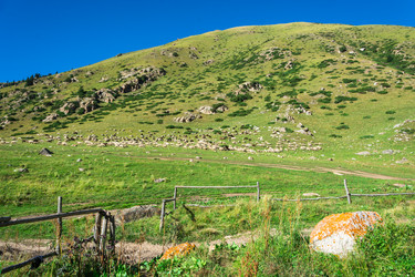 Similar image 12988903