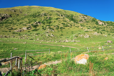 Similar image 12988928