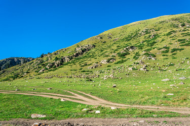 Similar image 12988930