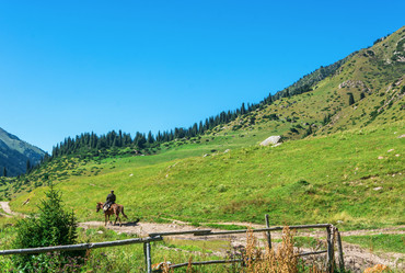 Similar image 12988932