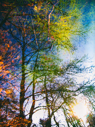 Similar image 12987232