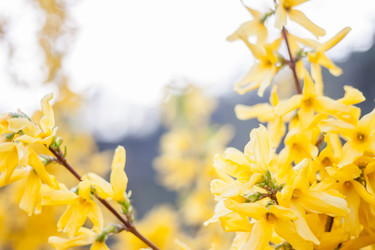 Similar image 12996463