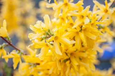 Similar image 12996464