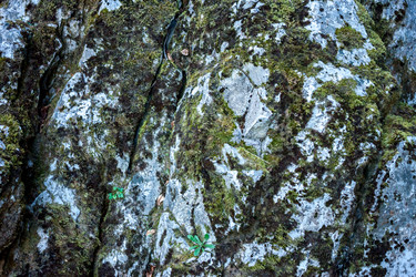 Similar image 12996465