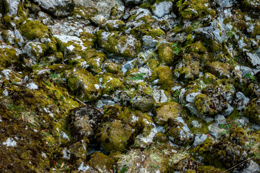 Similar image 12996466