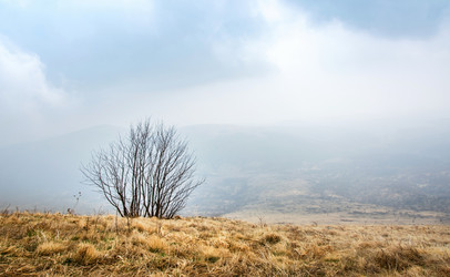 Similar image 12981532