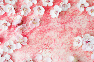 Similar image 12981548