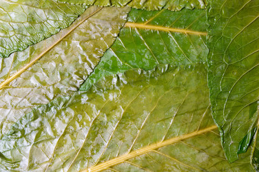 Similar image 12981549