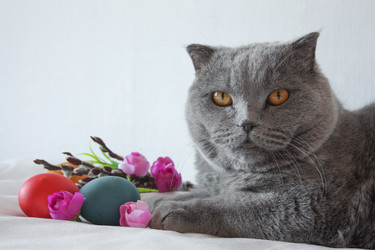 Similar image 12981869