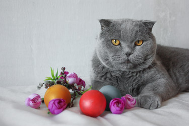 Similar image 12981871