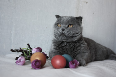 Similar image 12981872