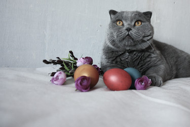 Similar image 12981873