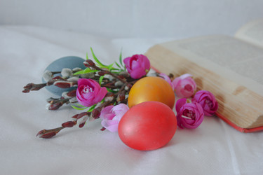 Similar image 12981891