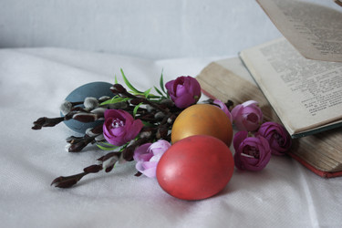 Similar image 12981892