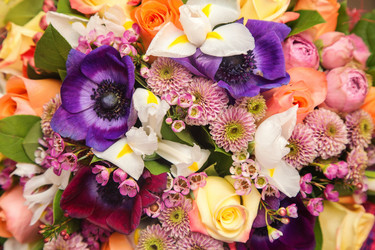 Similar image 12988636