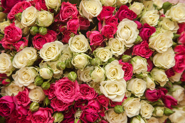 Similar image 12988638