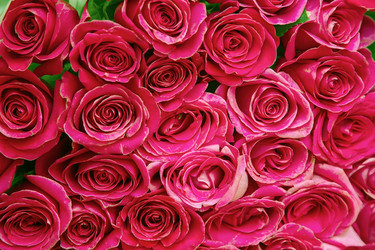 Similar image 12988639