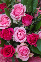 Similar image 12988640