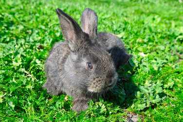 Similar image 12985159