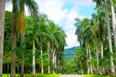 Similar image 12985161