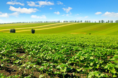 Similar image 12985163